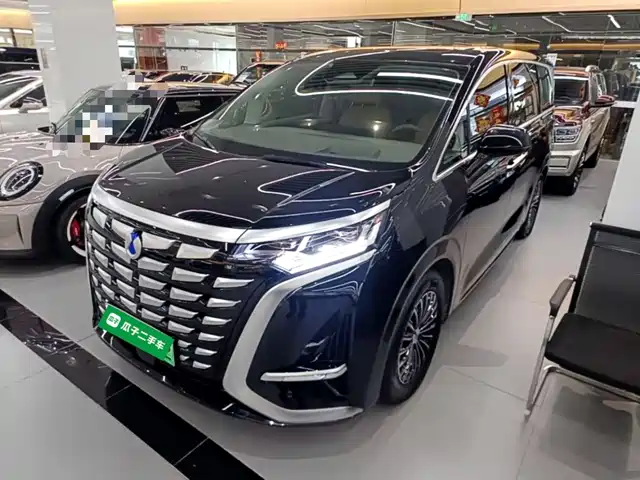 2024 Denza D9