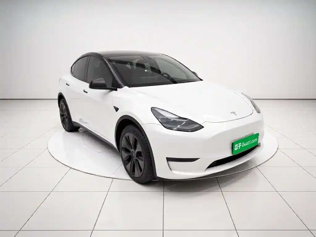 Tesla Model Y — миниатюра 3