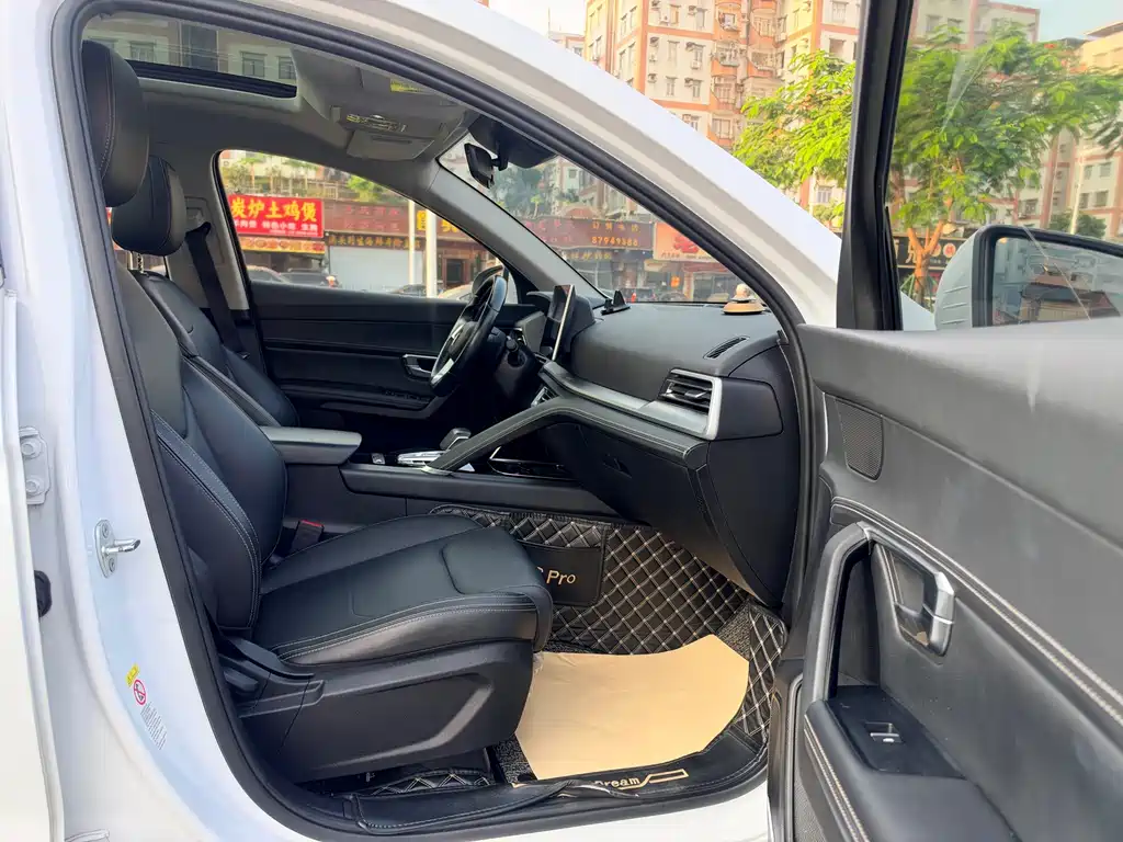 BYD Pro — миниатюра 14