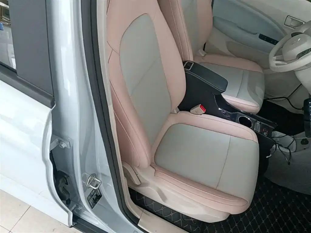 Leapmotor T03 2025 310