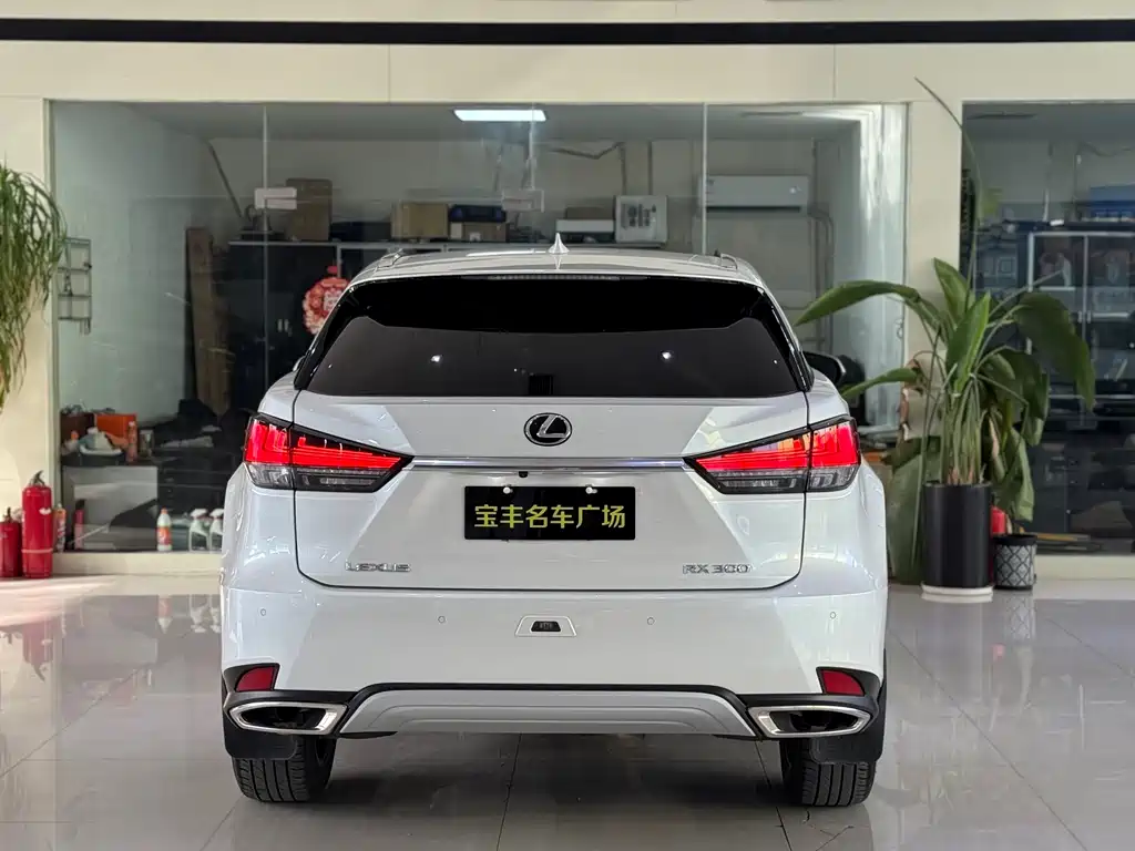 LEXUS RX