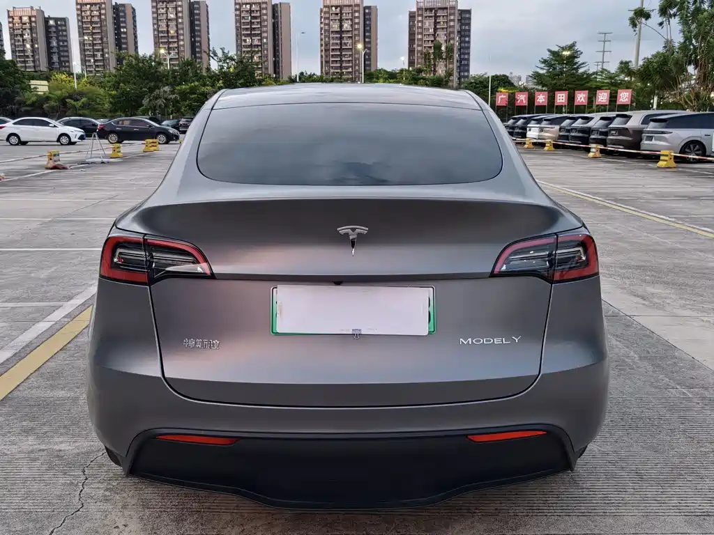Tesla Model Y — миниатюра 5