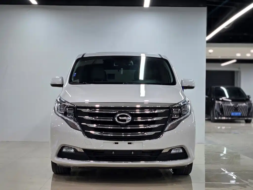 GAC Motor Trumpchi M8 — миниатюра 2