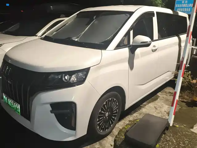 2025 BAIC Ruisheng Ace M7