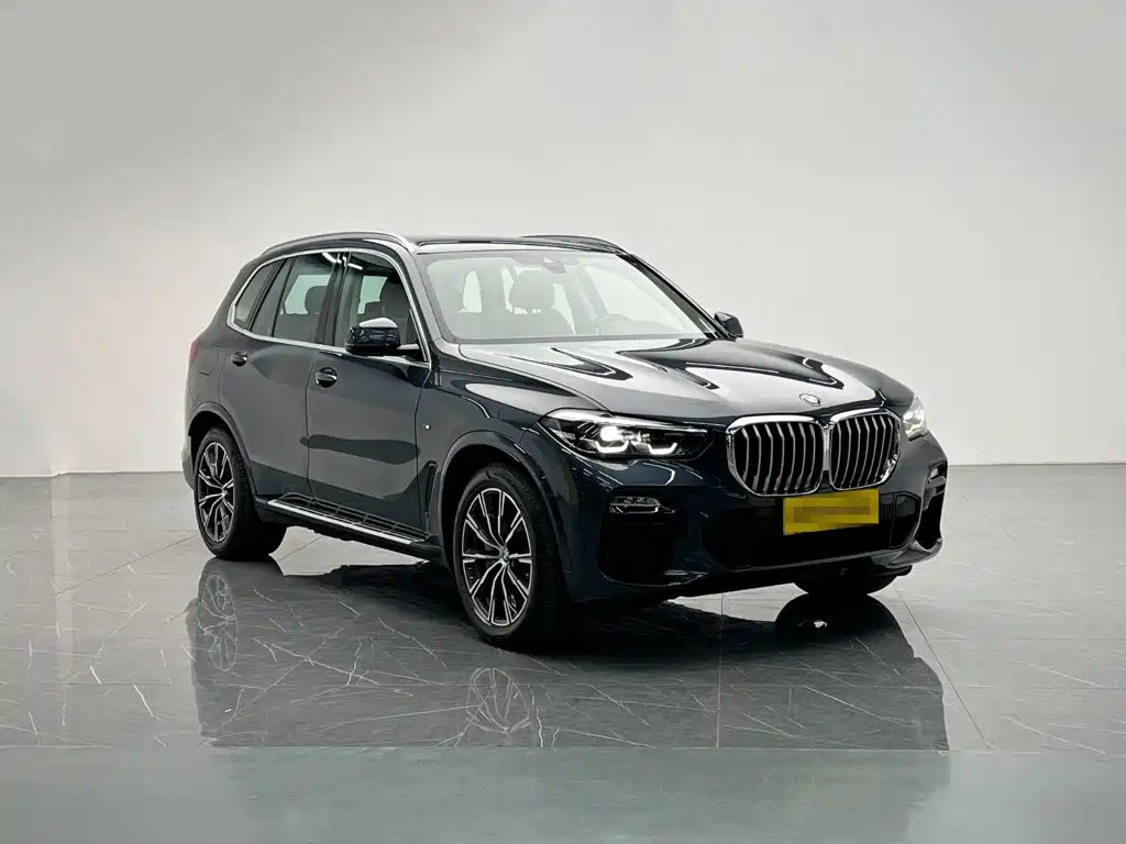 BMW X5 New Energy (Import) — миниатюра 8