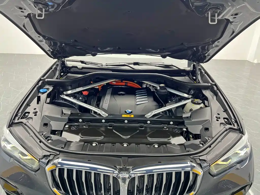 BMW X5 New Energy (Import) — миниатюра 26