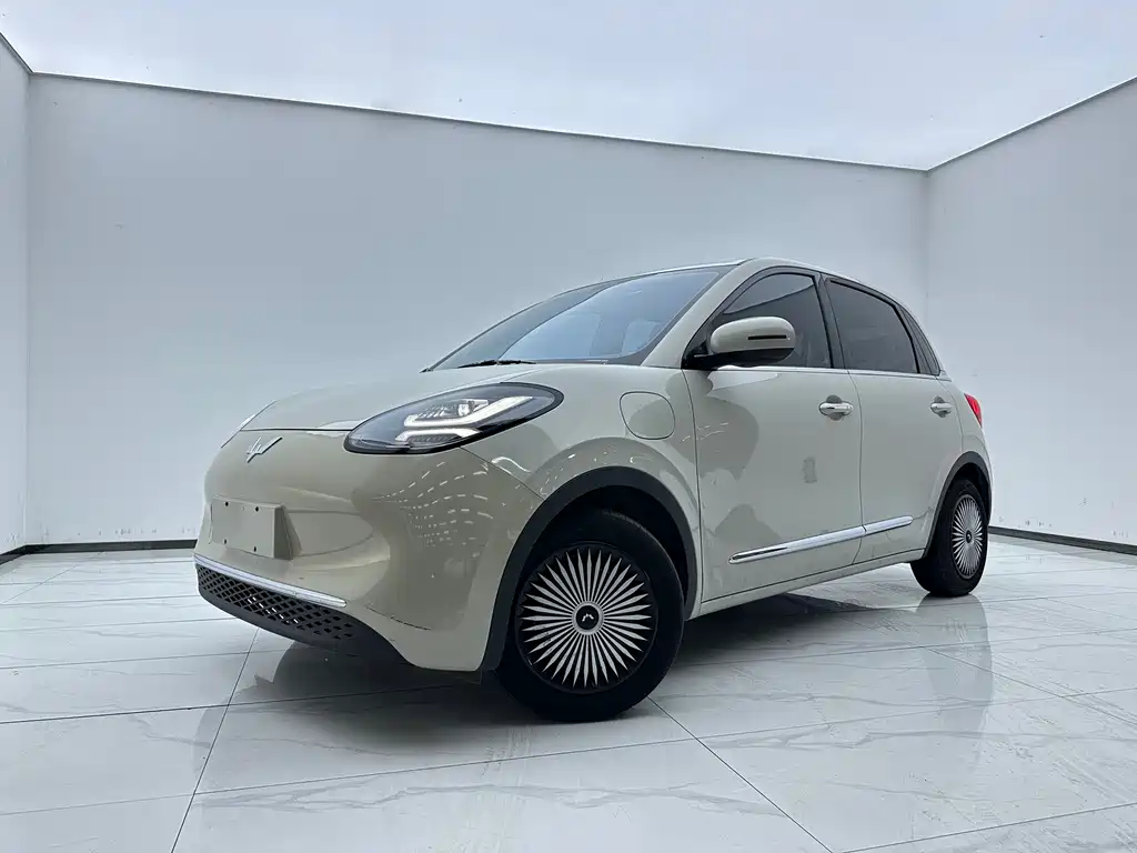 Wuling Bingo 2024