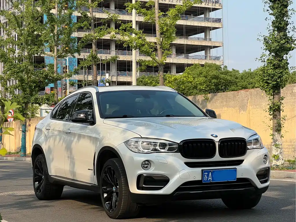 BMW X6 — миниатюра 2