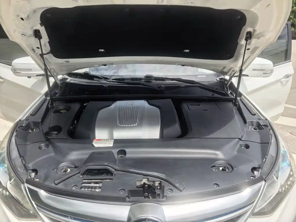 BYD New Energy — миниатюра 18