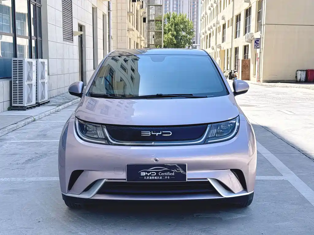 BYD Dolphin — миниатюра 19