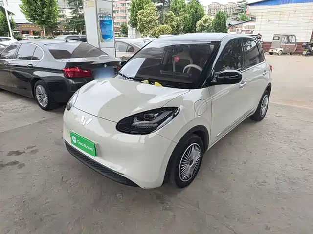 2024 Wuling Motors Binguo