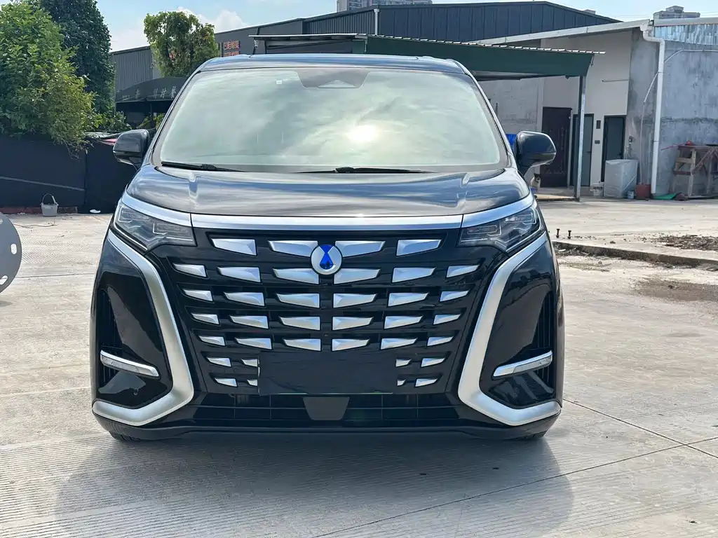 Denza Denza D9 — миниатюра 2