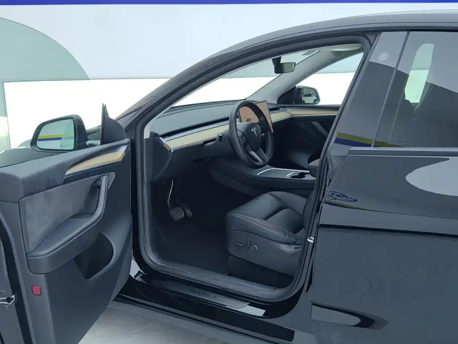 Tesla Model Y — миниатюра 9