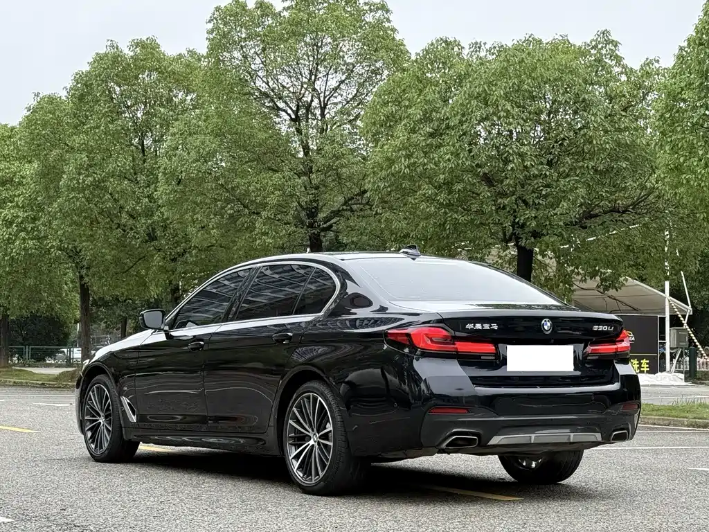BMW 5 Series — миниатюра 4