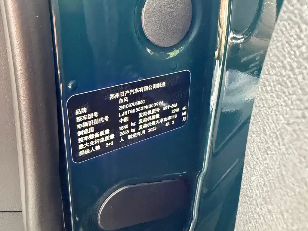 Dongfeng Rich 6 Pro - фото 13