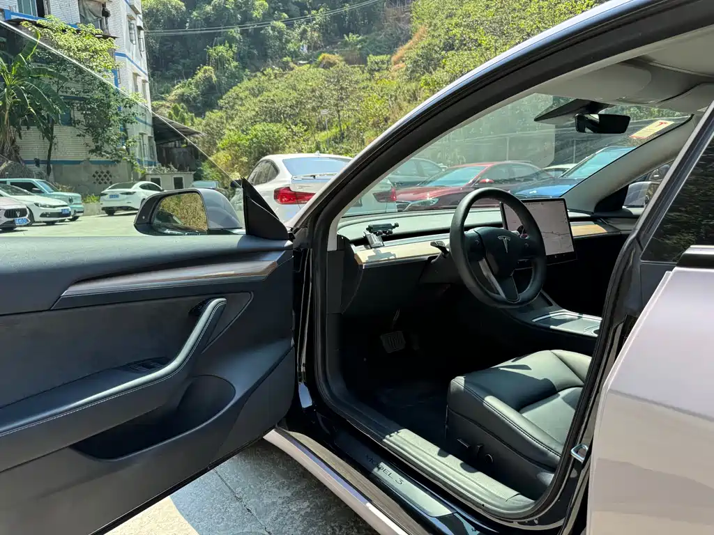 Tesla Model 3 — миниатюра 19