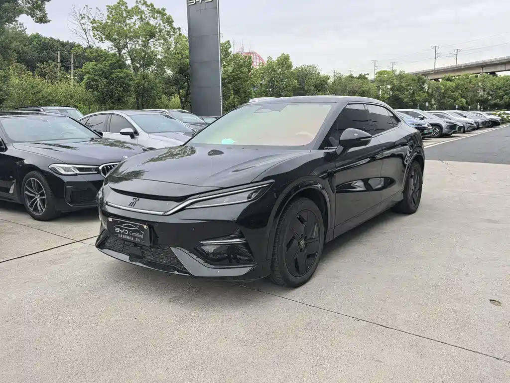 BYD L EV