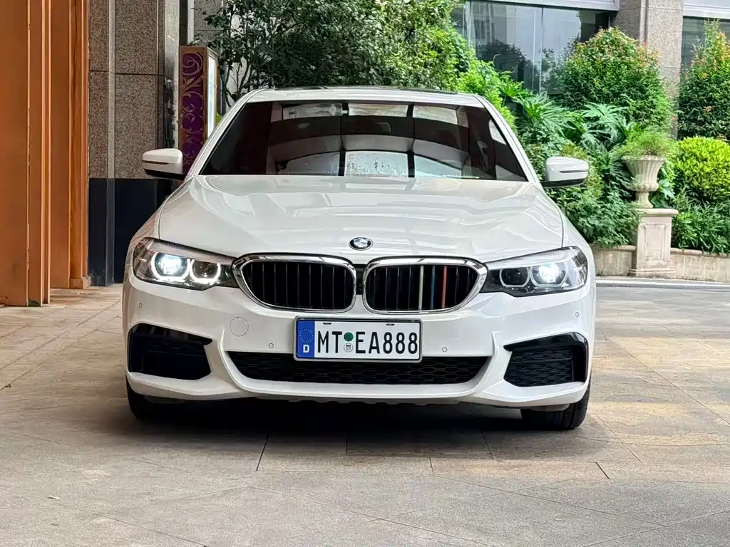 BMW 5 Series 5 2019 530Li Lead M Sport