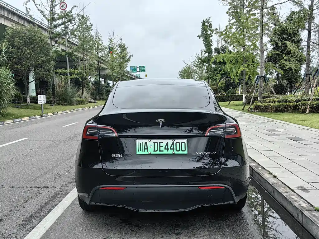 Tesla Model Y — фотографии объявления, Фото 11
