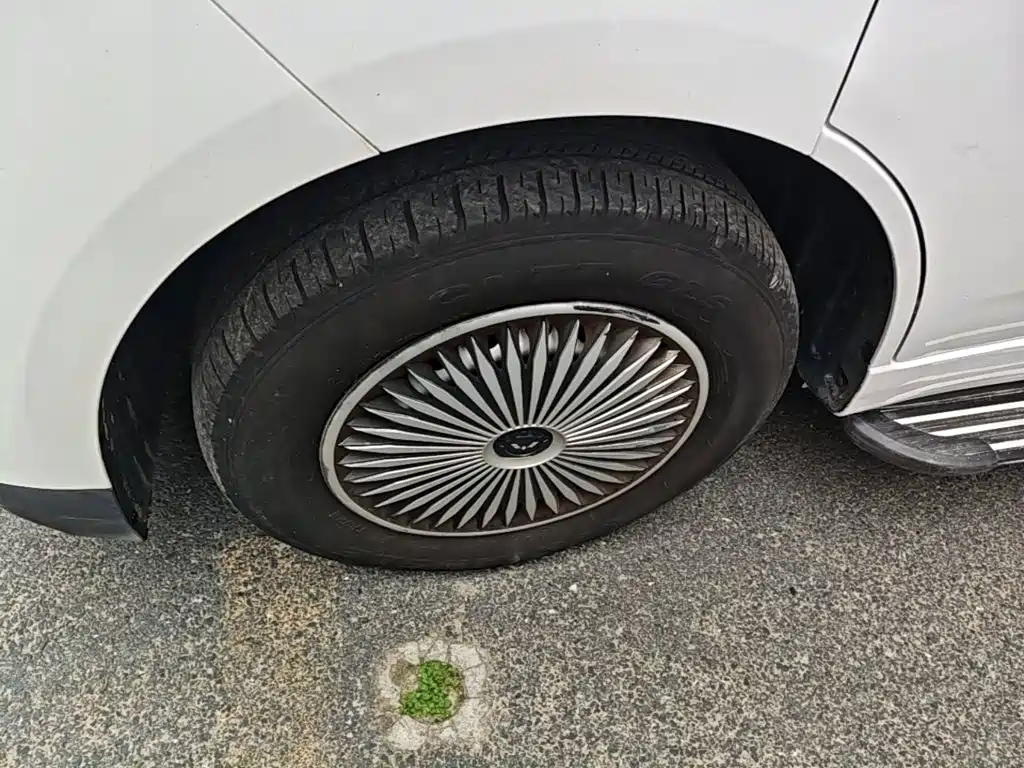 Wuling Yangguang — миниатюра 23