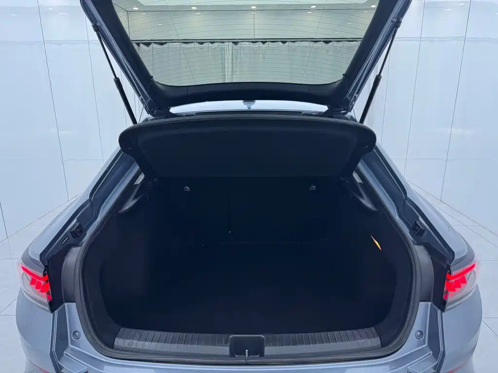 Volkswagen Lamando — миниатюра 15