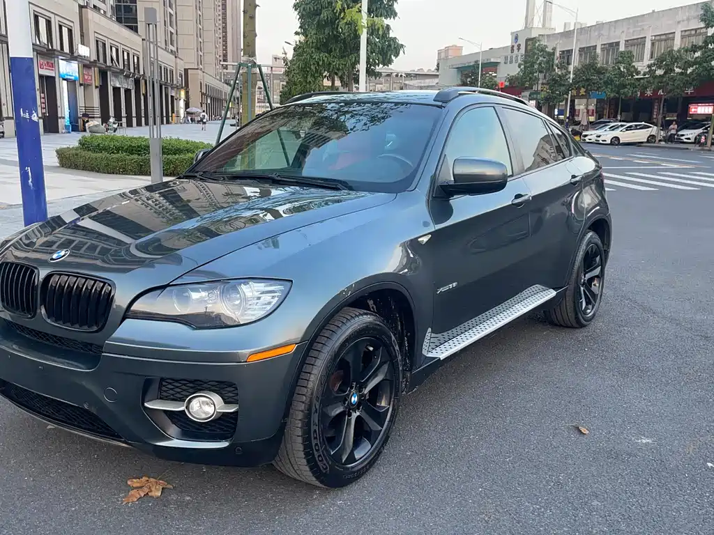BMW X6 2010