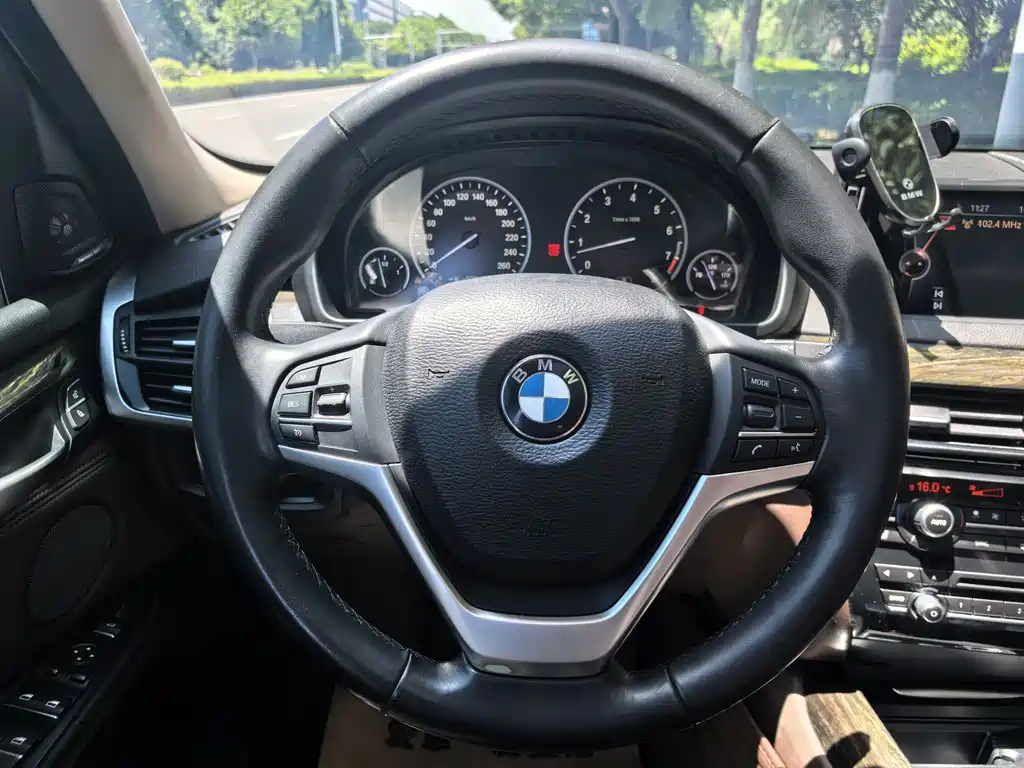 BMW X5 2014 xDrive35i Lead