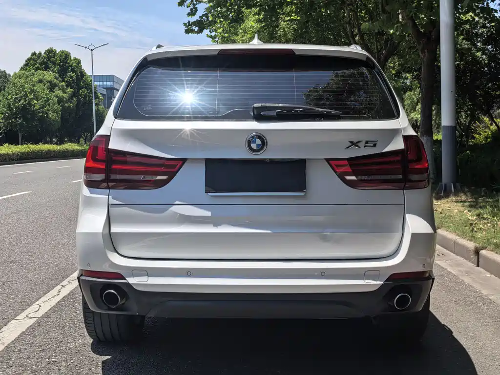 BMW X5 2014 xDrive35i Lead