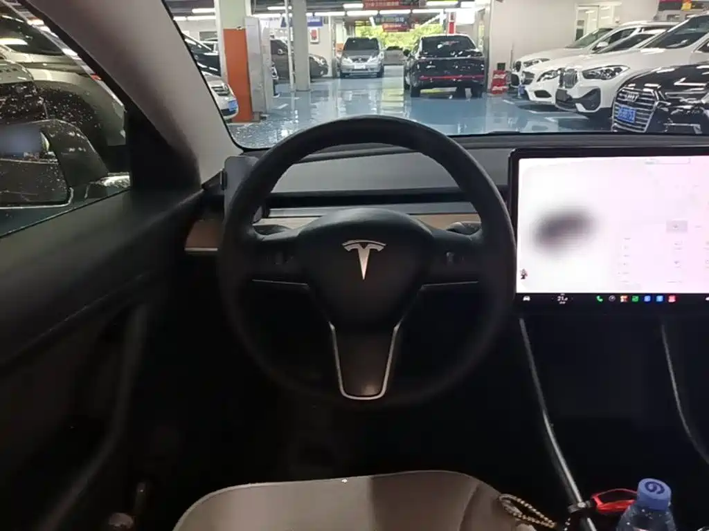 Tesla Model 3 — миниатюра 11