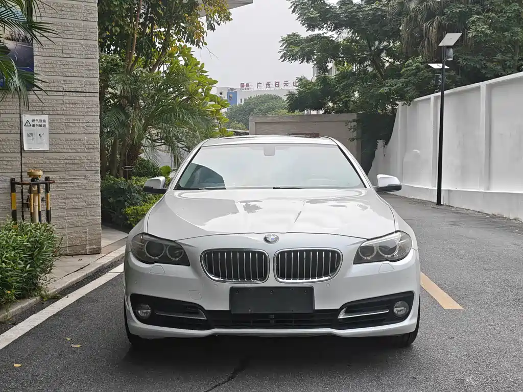 BMW 5 Series 5 2014 520Li Elegant
