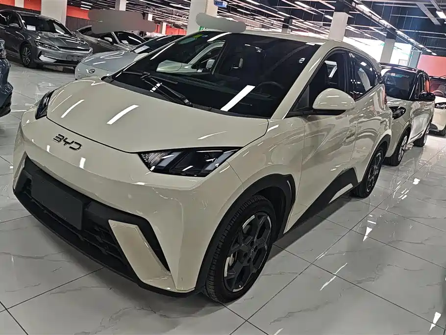 Byd Seagull 2024