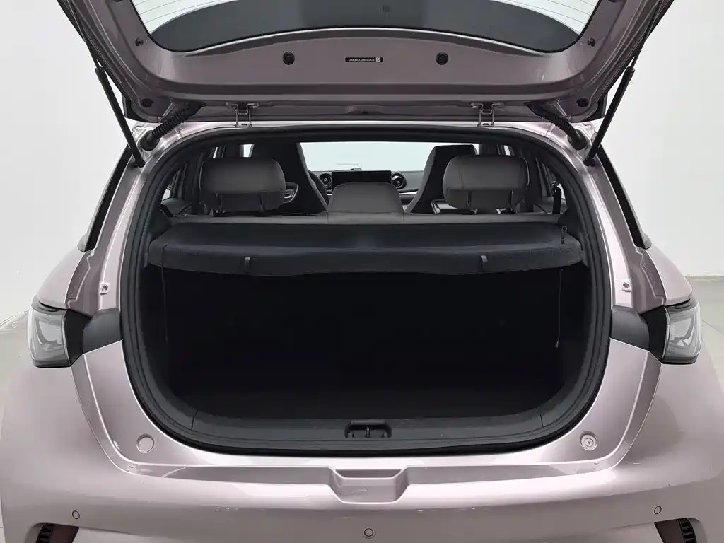 BYD Dolphin — миниатюра 16