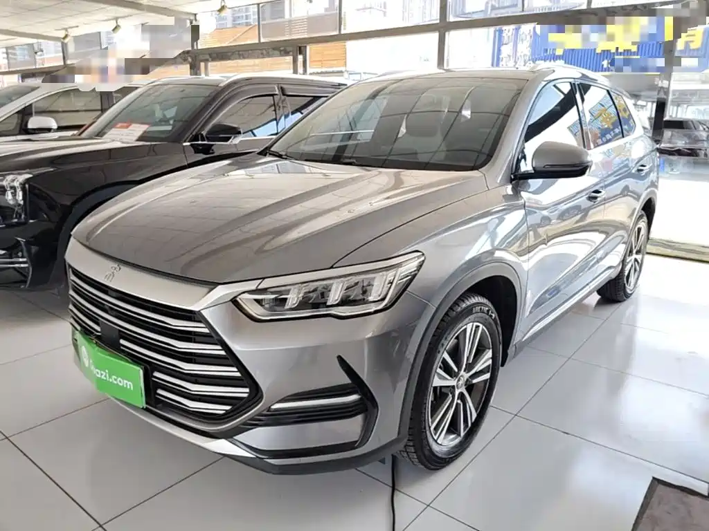 BYD Pro New Energy — миниатюра 2