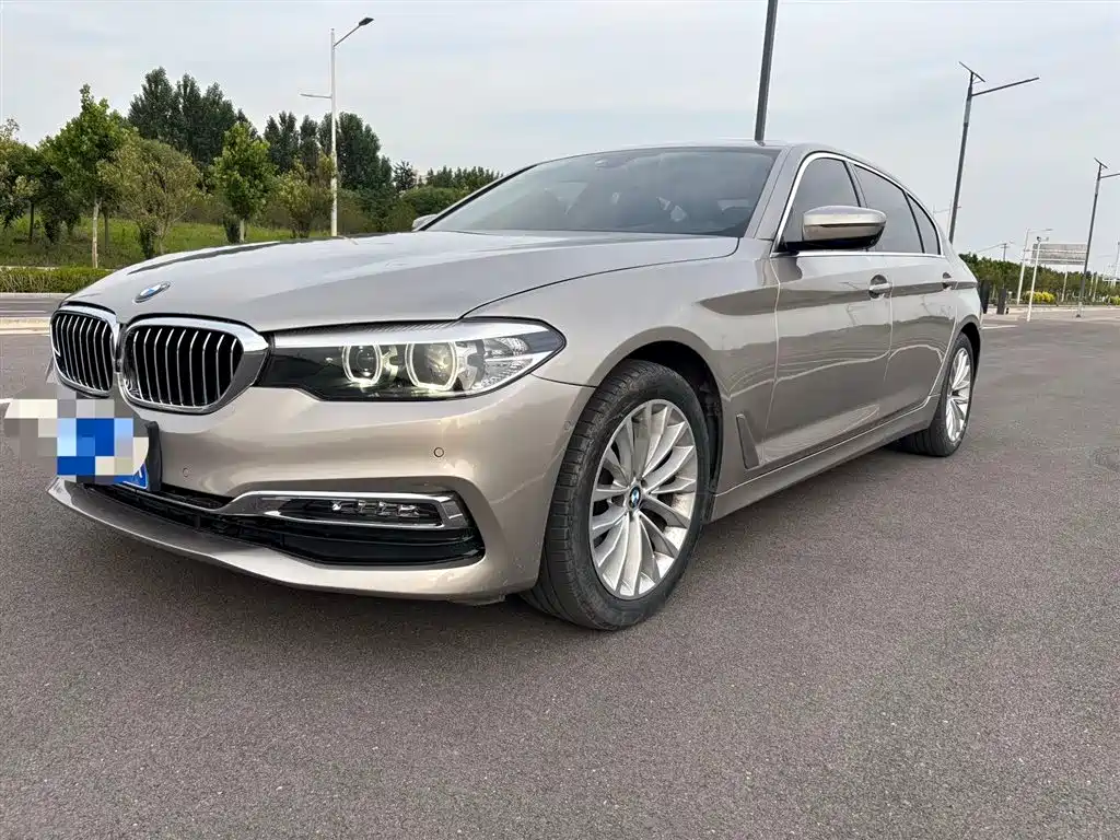 BMW 5 Series 5 2019 525Li Luxury
