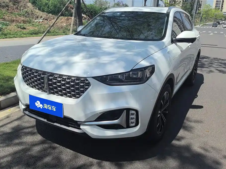 Wey Wey VV6 2020