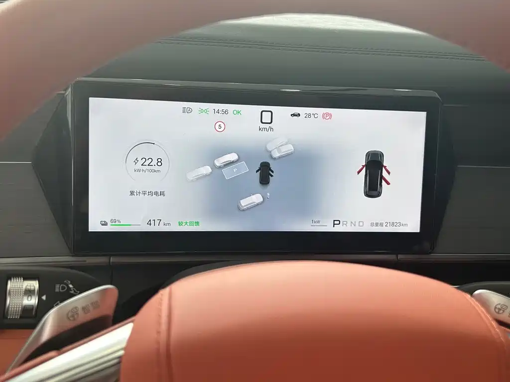 BYD Tang L L 2025 EV 600KM Flagship