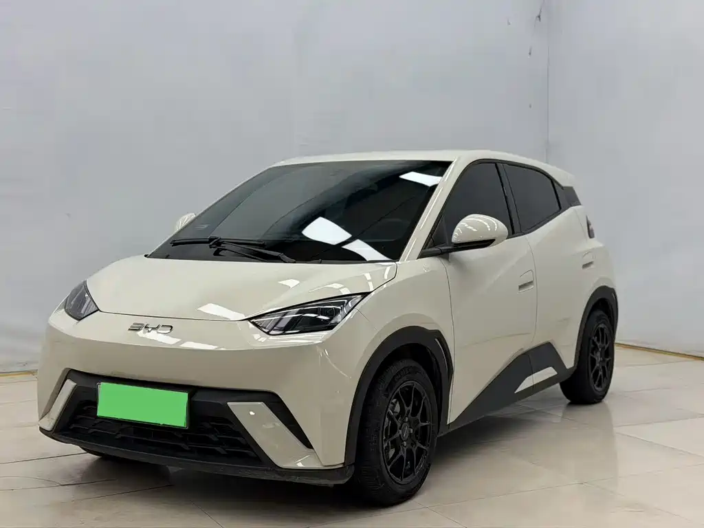Byd Seagull 2025
