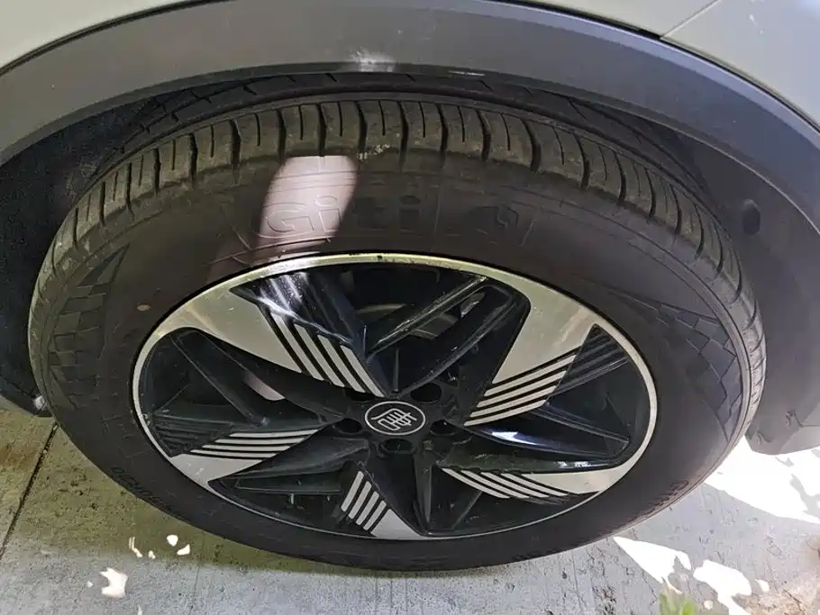 BYD Tang New Energy — миниатюра 6