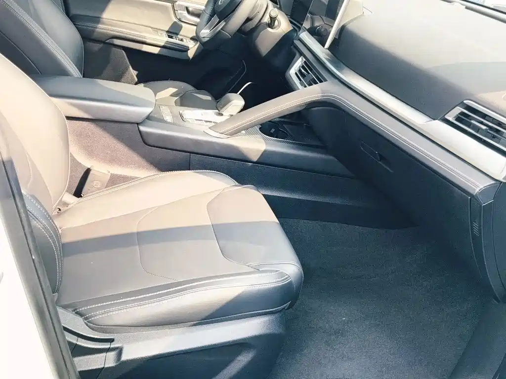 BYD Pro — миниатюра 8