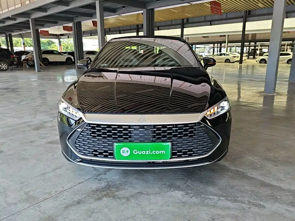 BYD Qin PLUS — миниатюра 3
