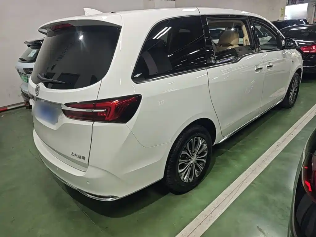 Buick GL8 — миниатюра 7