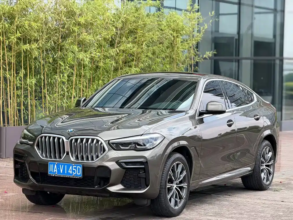 BMW X6 2022