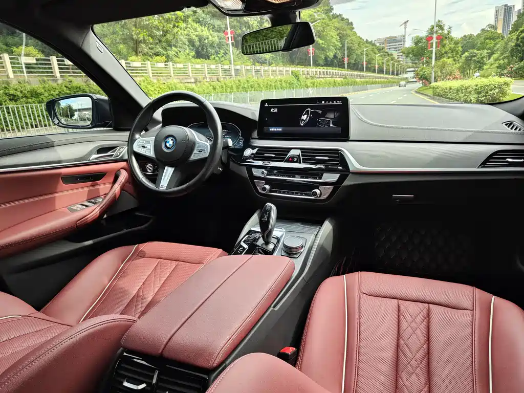 BMW 5 SERIES NEW ENERGY