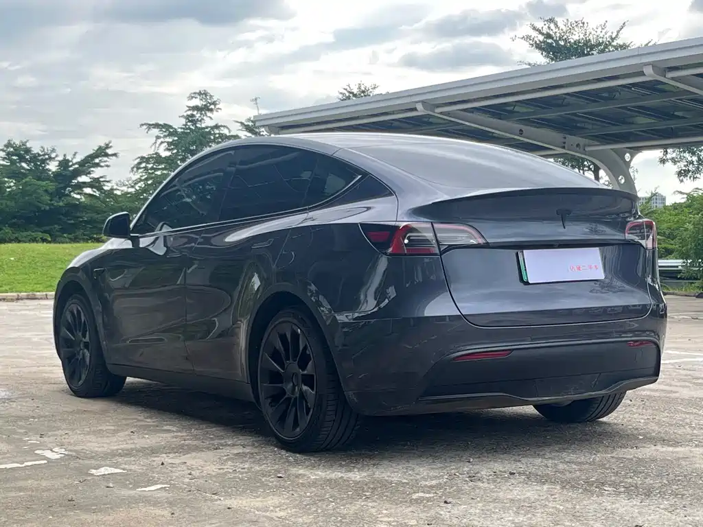 Tesla Model Y — миниатюра 7