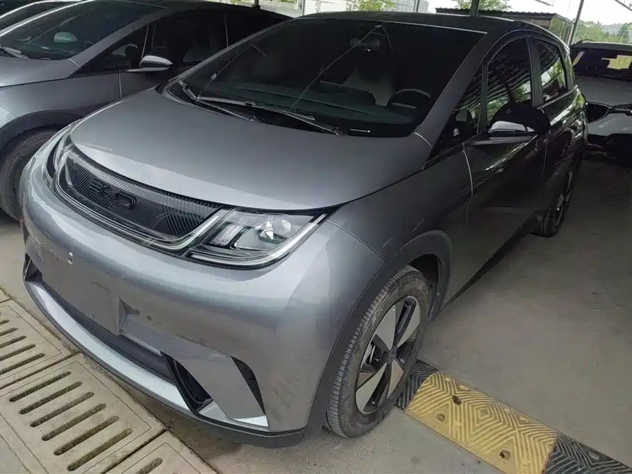 Byd Dolphin 2024