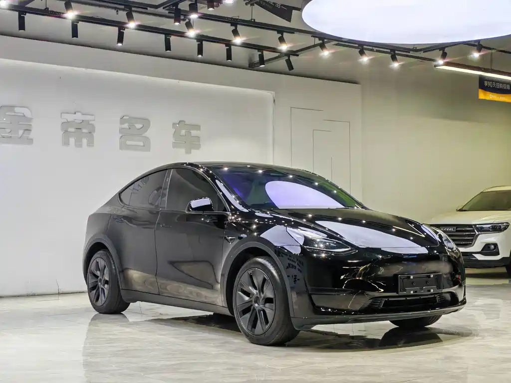 Tesla Model Y — миниатюра 3