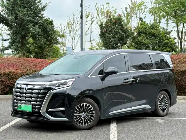 Denza D9