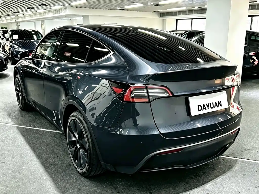 Tesla Model Y — миниатюра 9
