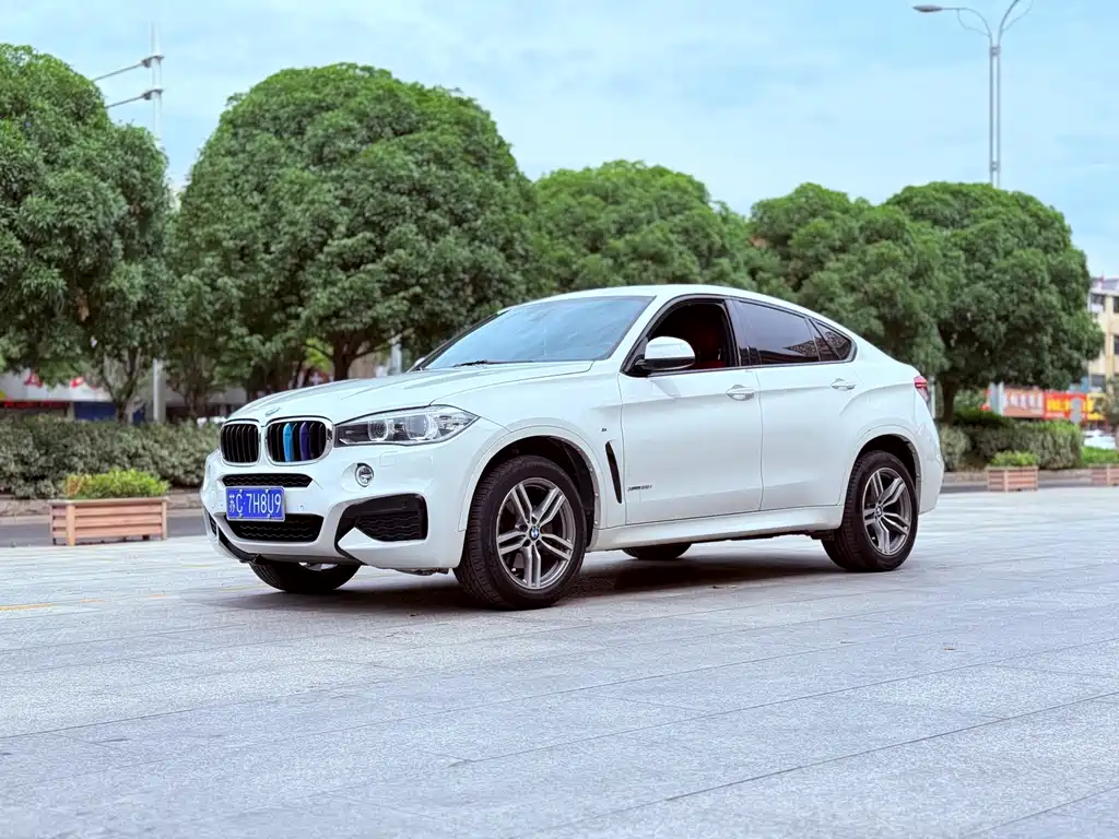 BMW X6 2017