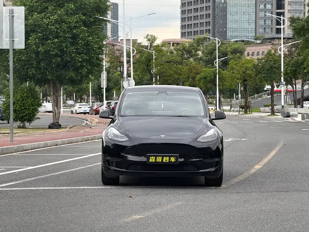 Tesla Model Y — миниатюра 3